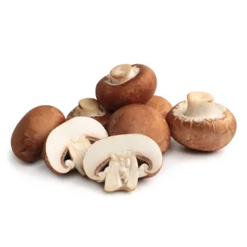 Mushroom (32)-9101263-98513.webp